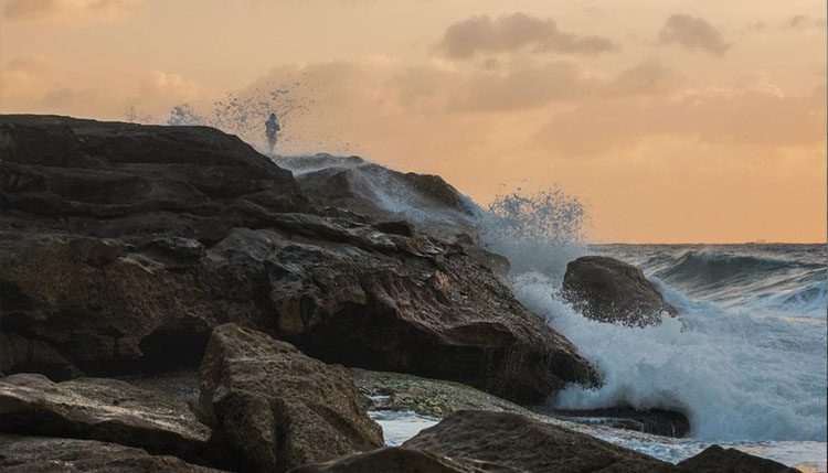 the shaking of all things by Merril Bolender