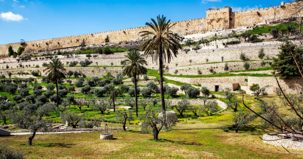 picture of the mount of olives in the holy city of jerusalem, Hadass' testimony