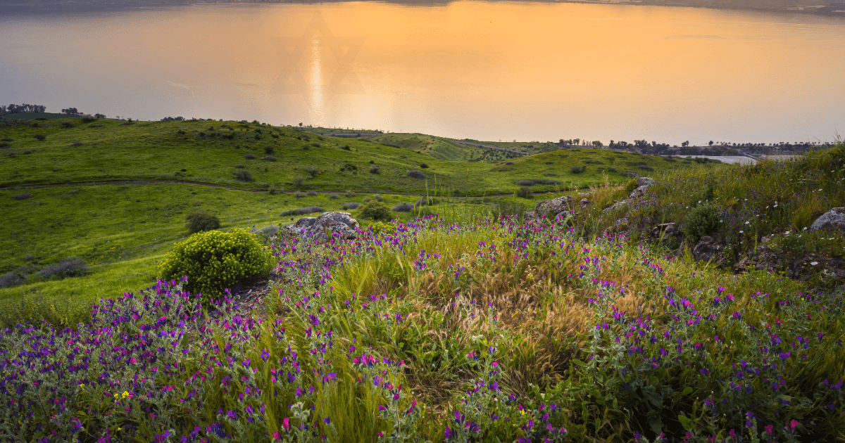 picture of Israel landscape with flowers for the article titled The Hand of the Lord Uproots and Plants