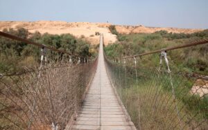 HIGHWAYS OF RETURN BUILT ON GOD’S COVENANT